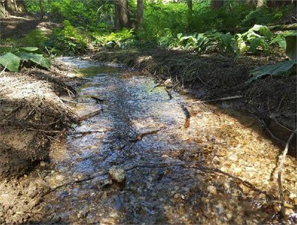 Property in Spokane County, Washington