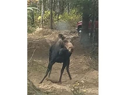 Property in Pend Oreille County, Washington