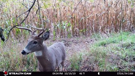 Property in Columbia County, Wisconsin