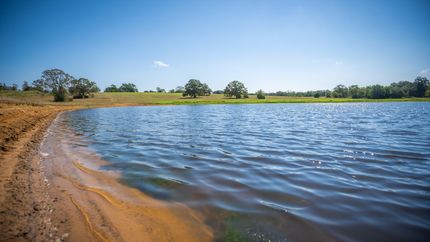 Property in Leon County, Texas