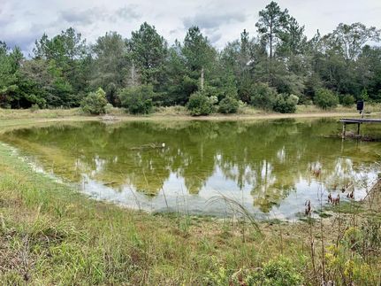 Property in Mobile County, Alabama