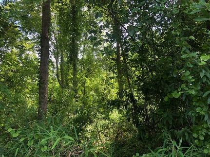 Property in Calhoun County, South Carolina