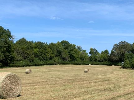 Property in Dallas County, Alabama