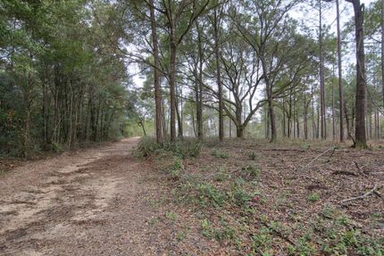 Property in Baldwin County, Alabama