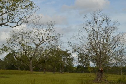 Property in Walton County, Florida