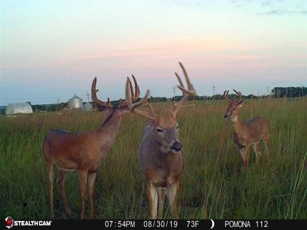 Property in Osage County, Kansas