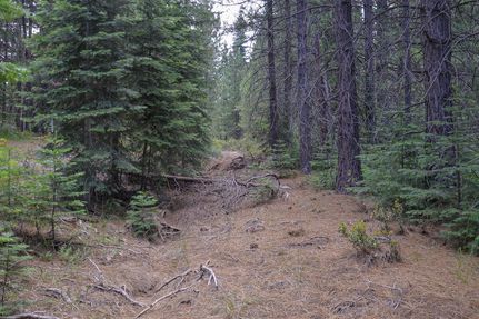 Property in Siskiyou County, California