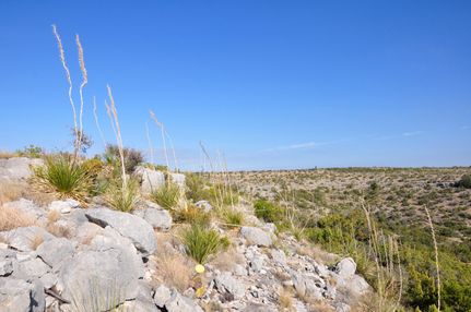 Property in Crockett County, Texas