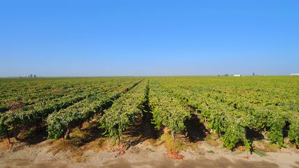 Property in Fresno County, California