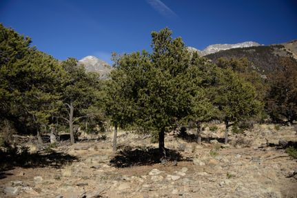 Property in Saguache County, Colorado