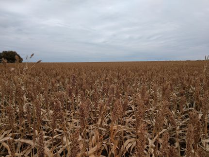 Property in Ottawa County, Kansas