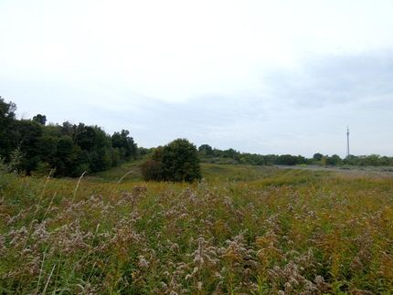 Property in Allegan County, Michigan