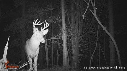 Property in Hart County, Kentucky