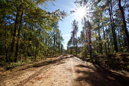 Property in Bossier Parish, Louisiana