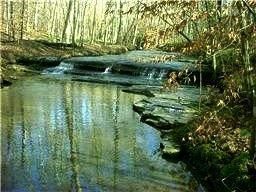 Property in Cheatham County, Tennessee