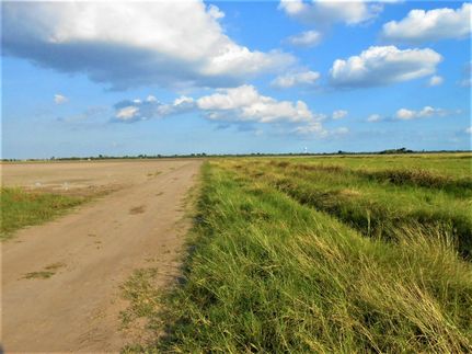 Property in Cameron County, Texas