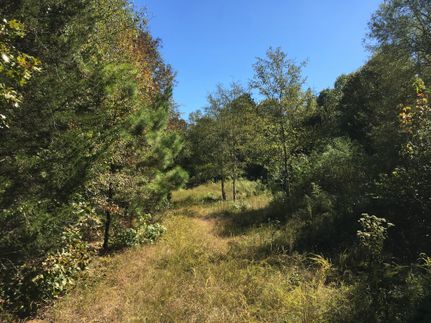 Property in Abbeville County, South Carolina