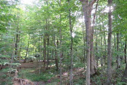 Property in Craig County, Virginia