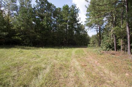 Property in Burke County, Georgia