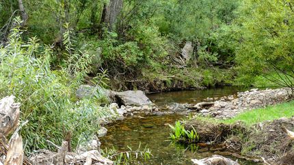 Property in Grant County, New Mexico