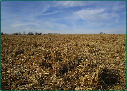 Property in Muscatine County, Iowa