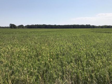 Property in Prairie County, Arkansas