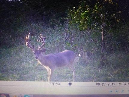 Property in Cedar County, Missouri