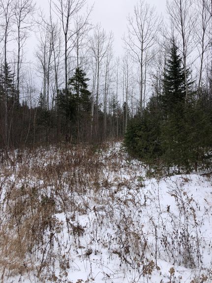 Property in Penobscot County, Maine