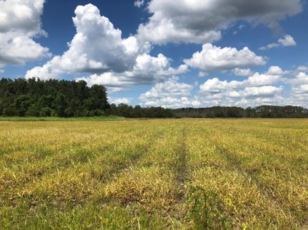 Property in Terrebonne Parish, Louisiana