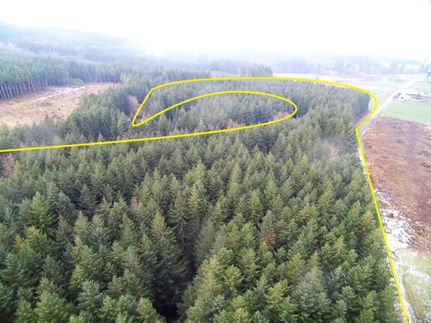 Property in Lewis County, Washington