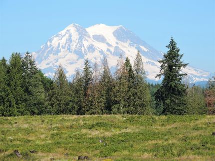 Property in Pierce County, Washington