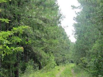 Property in San Augustine County, Texas