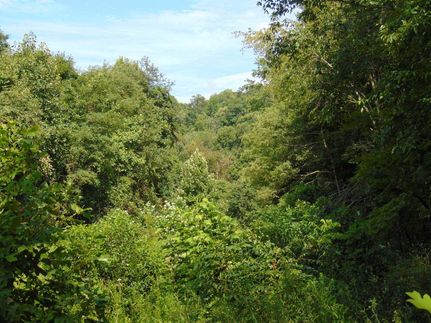 Property in Raleigh County, West Virginia