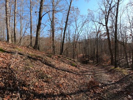 Property in Casey County, Kentucky