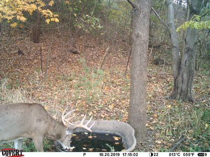 Property in Vernon County, Wisconsin