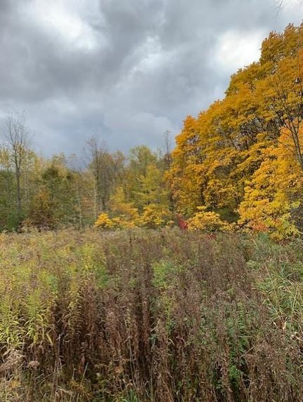 Property in Jackson County, Michigan