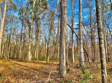 Property in Montgomery County, Alabama