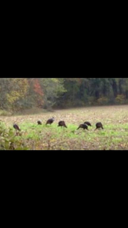 Property in Mercer County, Kentucky