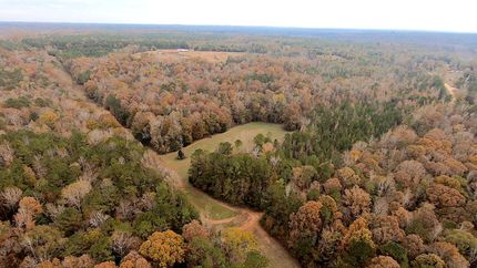 Property in Lee County, Alabama