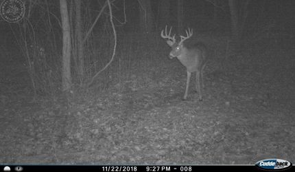 Property in Crawford County, Wisconsin