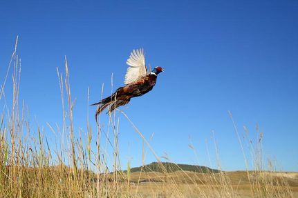 Property in Crook County, Wyoming