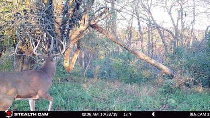 Property in Crawford County, Wisconsin