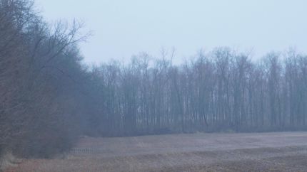 Property in Montgomery County, Ohio