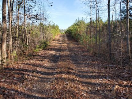 Property in Brunswick County, Virginia