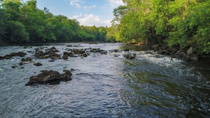 Property in Lowndes County, Georgia