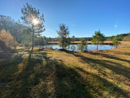Property in Effingham County, Georgia