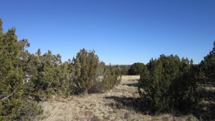 Property in Navajo County, Arizona