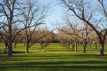 Property in Screven County, Georgia