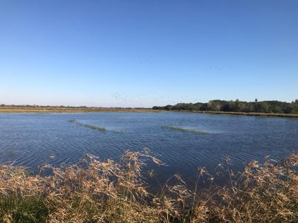 Property in Jackson County, Texas