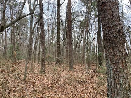 Property in Grundy County, Tennessee